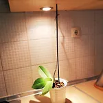 بيت ضيافة Medulic Palace & 2 3*