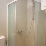 Medulic Palace & 2 بيت ضيافة شيبينيك
