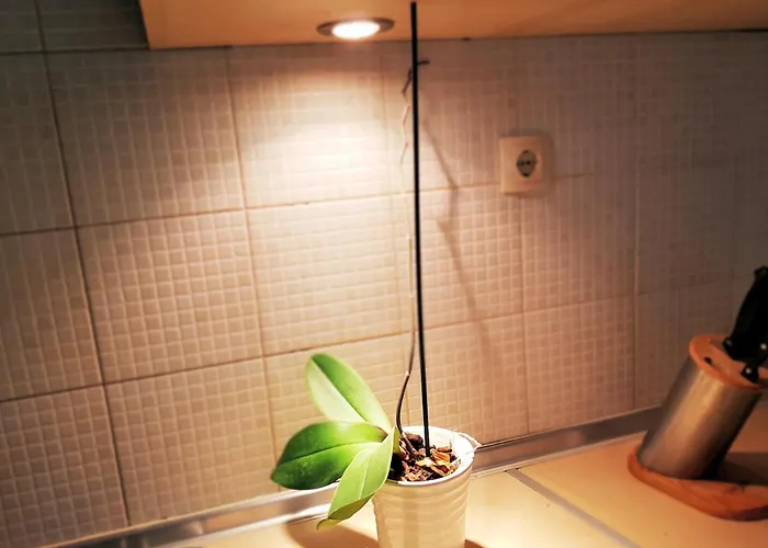 Gasthuis Medulic Palace & 2 3*